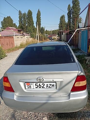 levin corolla: Toyota Corolla: 2003 г., 1.6 л, Механика, Бензин, Седан — 3