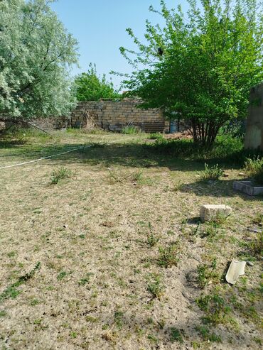 binəqədidə torpaq: 21 sot, Tikinti, Makler, Kupça (Çıxarış)
