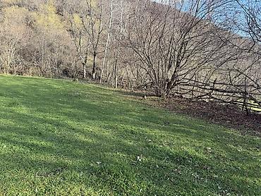 Torpaq sahələrinin satışı: 35 sot, Mülkiyyətçi — 4