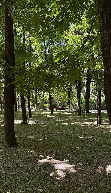 Продажа квартир: 1 комната, 40 м², 104 серия, 1 этаж, Косметический ремонт — 2