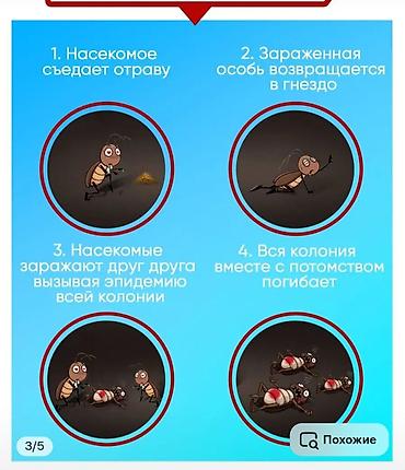 крысинный яд: Эффективное средство для борьбы с тараканами и насекомыми. Простое и — 3