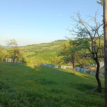 Torpaq sahələrinin satışı: Tikinti — 3