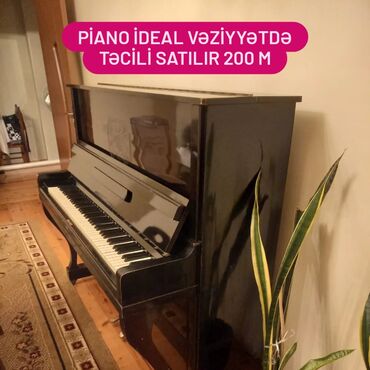 Pianolar: Piano, Belarus, Rəqəmsal, İşlənmiş