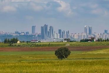 сел: 95 соток, Для бизнеса, Красная книга — 3