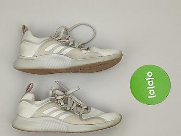 crocs crivit: Adidas, Sneakersy damskie, rozmiar 37.5 — 2