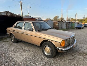 Mercedes-Benz: Mercedes-Benz W123: 1983 г., 2.8 л, Механика, Бензин, Седан