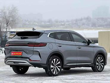 BYD: BYD Destroyer 05: 2024 г., Кроссовер — 6