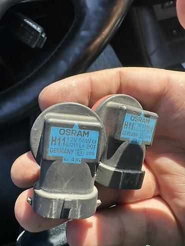 55w: Лампы автомобильные галогенные OSRAM H11, комплект 2 шт — 1