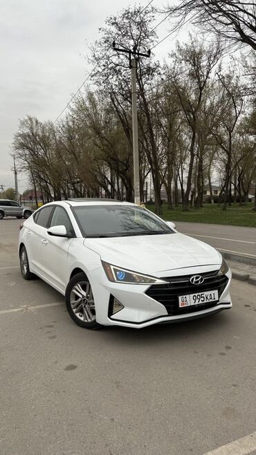 купить машину хендай солярис: Белый седан Hyundai Elantra с передним приводом. Автомобиль отличается
