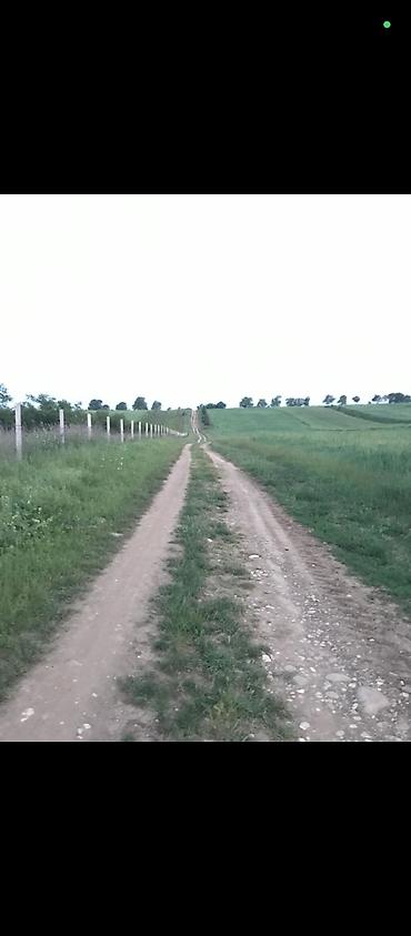 tap az samaxi: 174 sot, Kənd təsərrüfatı, Mülkiyyətçi, Kupça (Çıxarış) — 5