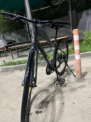 tourney: Городской/шоссейный велосипед CATVELO на 700 колесах - Легкая — 2