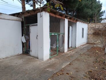 Bağ evlərinin satışı: Bakı, Novxanı, 200 kv. m, 5 otaqlı, İnternet, Artezian quyusu, Telefon — 8