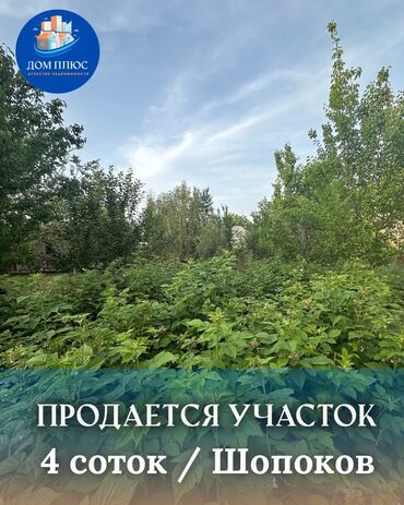 ак ордо участки: 4 соток, Для сельского хозяйства