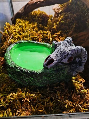 Зоотовары: 🌿 Украшения и декорации для аквариумов и террариумов 🌿 Продаю — 3