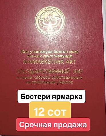 алтын казык ж м: 12 соток, Для бизнеса, Красная книга — 1