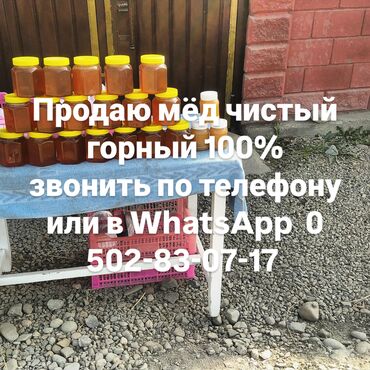 Мёд: Продаю мёд горный чистый 100% разнотравье цветочный цена за килограмм