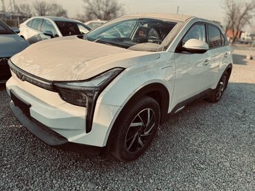 Другие автомобили: Neta U Pro /Ev-Электро кроссовер. Основные особенности: - Кузов — 6