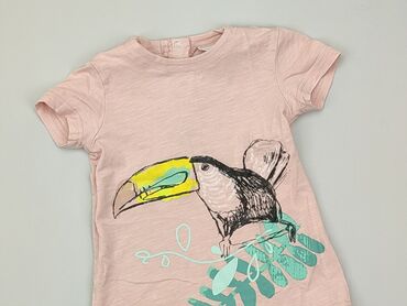 Koszulki: Koszulka, Coccodrillo, 4-5 lat, 104-110 cm, stan - Bardzo dobry