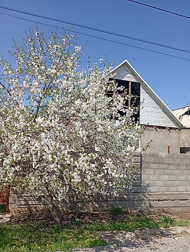Продажа времянок: 🌳🏦🌳 УЙ + БИЗНЕС 🌳🏦🌳 ЧОН УЙ САТЫЛАТ, РАЗМЕРИ 12/ — 2