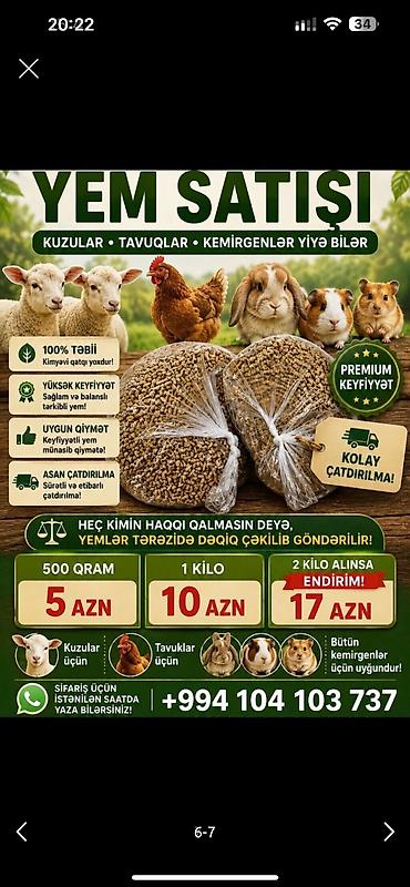 ağdaş yemi: 1 aylıq holland balaca🐰 Kafes, yem qabı, su qabı və tualet qabı — — 7