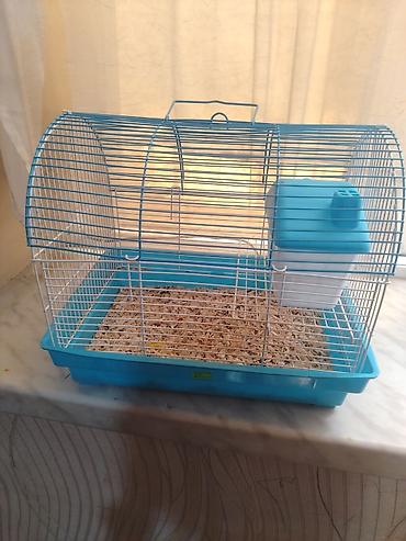 heyvan adlari: Kiçik heyvan qəfəsi – hamster, siçan və ya digər gəmiricilər üçün. - — 2