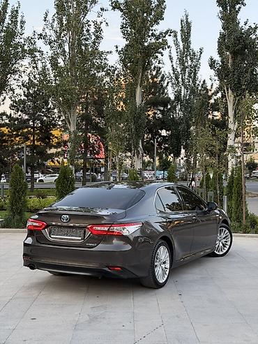 обмен 124: Toyota Camry: 2019 г., 2.5 л, Автомат, Гибрид, Седан — 5