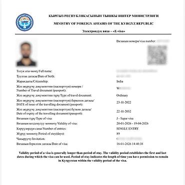 Туристические услуги: Визы в Кыргызстан, США, Японию и Шенген. Помогаю с оформлением виз в — 15