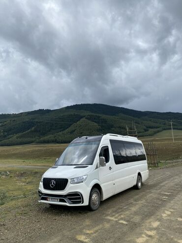 мерседес дельфин пасажир: Автобус, Mercedes-Benz, 2009 г., 3 л, 16-21 орун