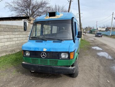 джип дизель: Mercedes-Benz 290: 1990 г., 2.9 л, Механика, Дизель, Бус