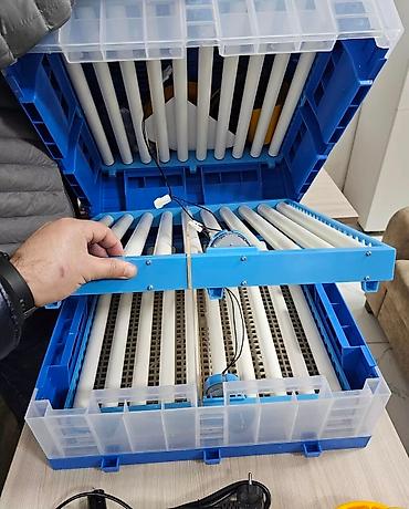 İnkubatorlar: Çin, Fabrik istehsalı, Tam avtomat, Bütün növ quşlar üçün — 10