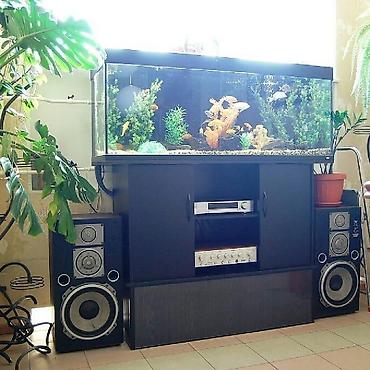 kristal yem mmc: Akvarium-şkaf, 1000 l, Pulsuz çatdırılma — 6