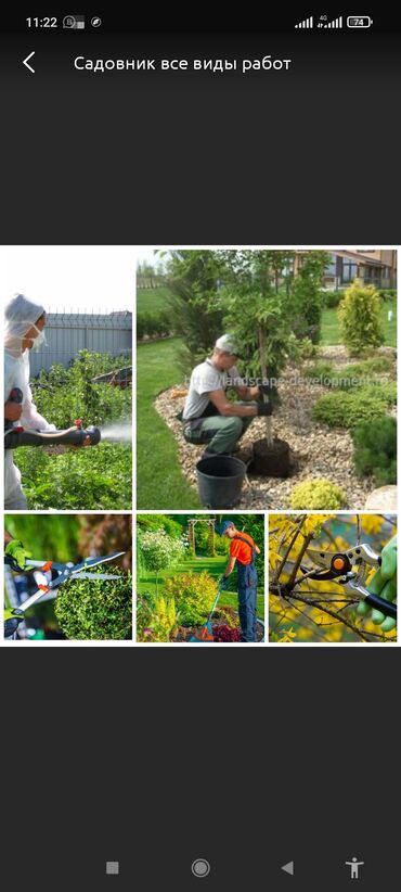 ищу садовника в Кыргызстан | ДВОРНИКИ, САДОВНИКИ: Садовник все виды работ Уборка огорода весенний Обрезка деревьев