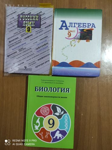 besh plus алгебра 10 класс: Учебники за 9 класс. алгебра, русский язык, каждая по 200 сом