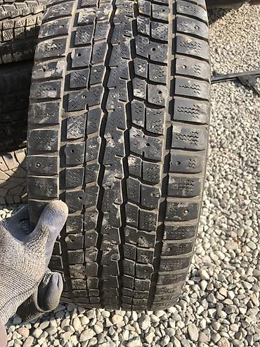 зимный сапок: Комплект зимних шин Dunlop на дисках с дисками - Размер: 205/55 R16 - — 3