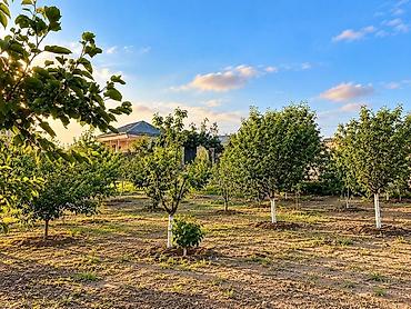 sarayda ev: Saray 6 otaqlı, 250 kv. m, Kredit yoxdur, Yeni təmirli — 1