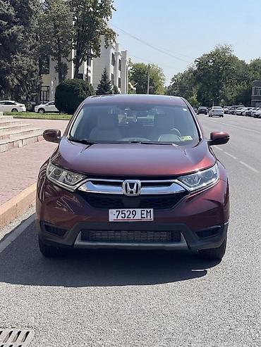 step vagon: Honda CR-V: 2019 г., 1.5 л, Вариатор, Бензин, Кроссовер — 7