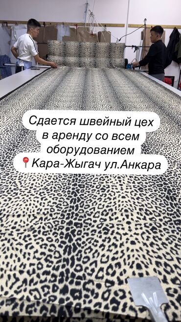 цемент завод: Сдается в аренду помещение рядом с Мадиной, по центральной улице