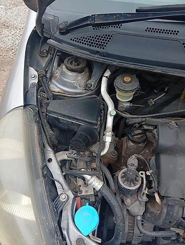 civic 5: Honda Fit: 2004 г., 1.3 л, Вариатор, Бензин, Хэтчбэк — 8