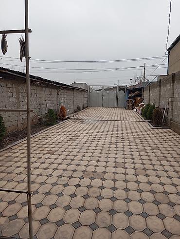 Продажа помещений свободного назначения: Продаю 2 дома на одном участке, первая линия, можно под бизнес. Общая — 2