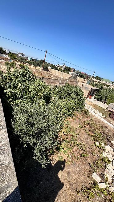 Torpaq: 9 sot, Tikinti, Mülkiyyətçi, Kupça (Çıxarış) — 7