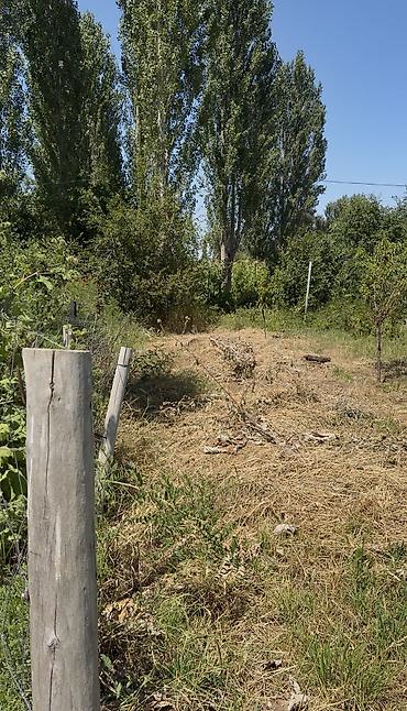 очень дешево: 5 соток, Для строительства, Красная книга, Тех паспорт — 2