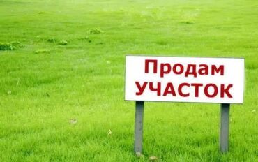 земельный участок в караколе: 8 соток, Для бизнеса, Красная книга