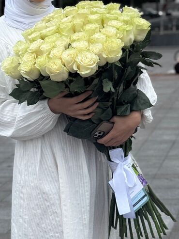 Другое: 51 голандские белые розы