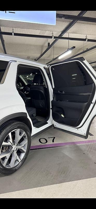 Hyundai: Hyundai Palisade: 2019 г., 3.8 л, Кроссовер — 8