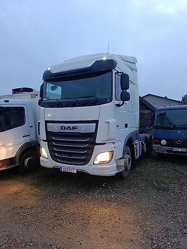 Тягачи: Тягач, DAF, 2020 г., Тентованный — 3