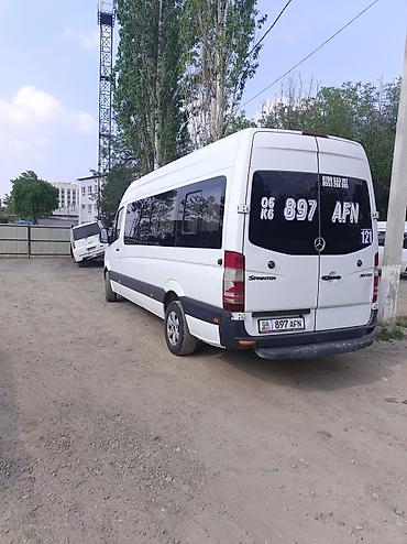 Автобус на заказ: Спринтер на заказ на любые направление походы на природу свадьбы at lalafo.kg — 13 Автобус на заказ: Спринтер на заказ на любые направление походы на природу свадьбы — 13
