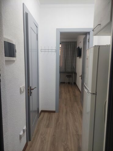 квартиры на иссык куле: 1 комната, 20 м², Цокольный этаж этаж, Косметический ремонт