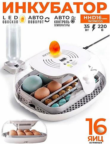 Товары и оборудование для с/х животных: Инкубатор на 16 яиц #Инкубатор #БизнесИнкубатор — 1