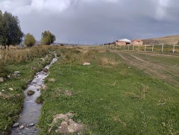 Сельхоз предприятия: Продаю Кошара, 50 соток, Действующий, Электричество, Канализация — 4