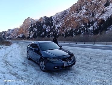 шпаклёвка на авто: Honda Accord: 2003 г., 2.4 л, Типтроник, Бензин, Седан